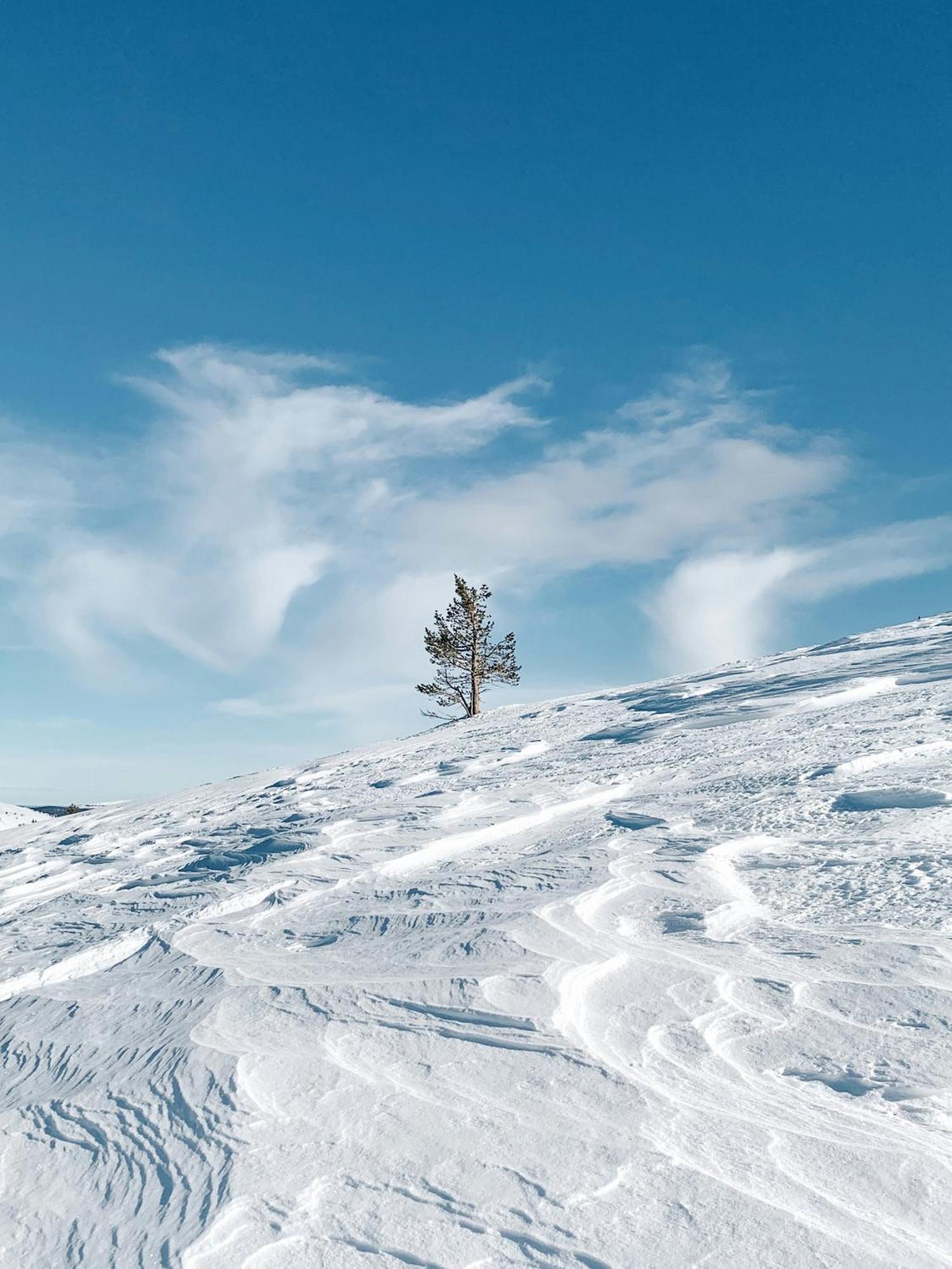 Ferienwohnung Lux Lapland Gielas Utsuvaara Levi Exterior foto