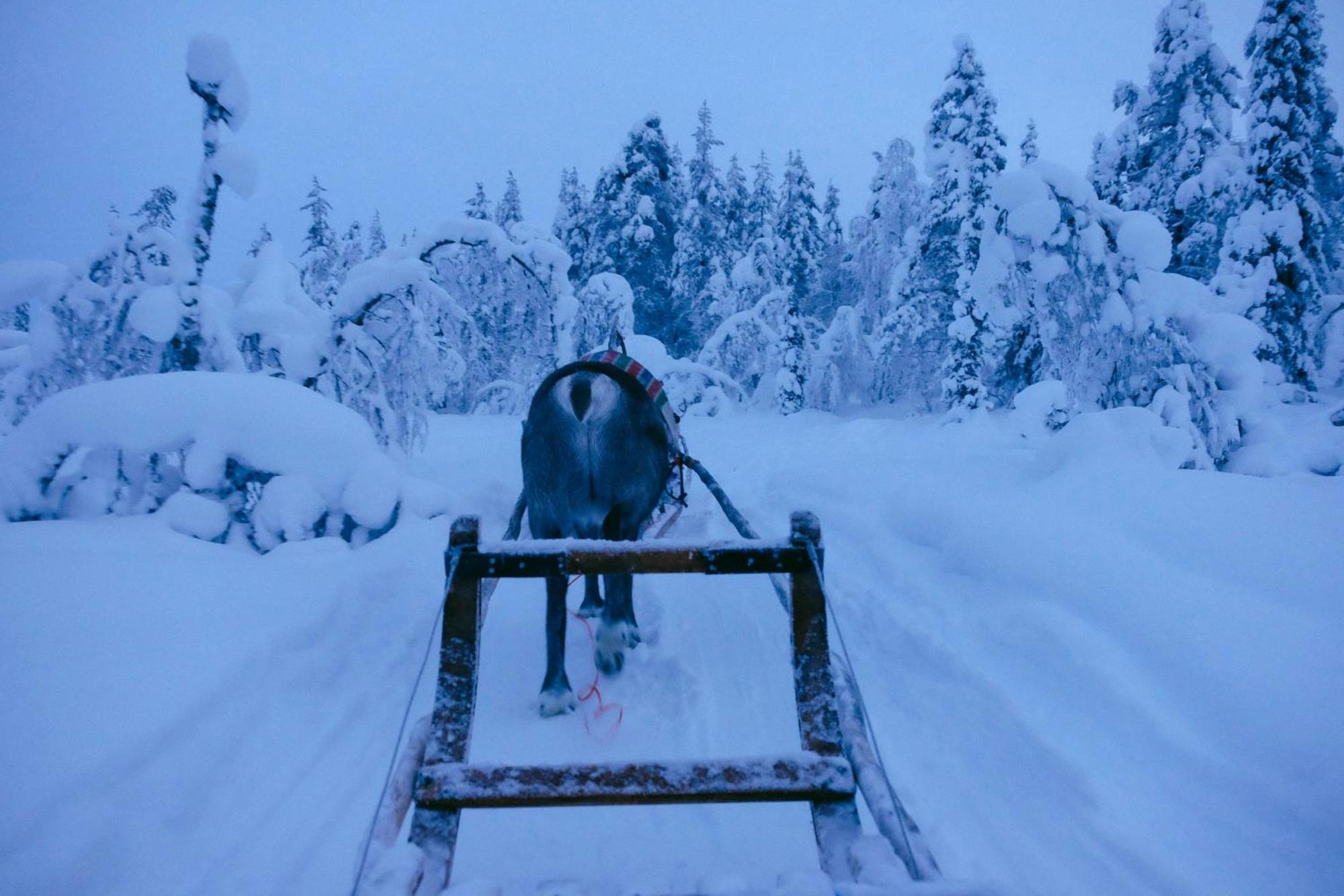 Ferienwohnung Lux Lapland Gielas Utsuvaara Levi Exterior foto