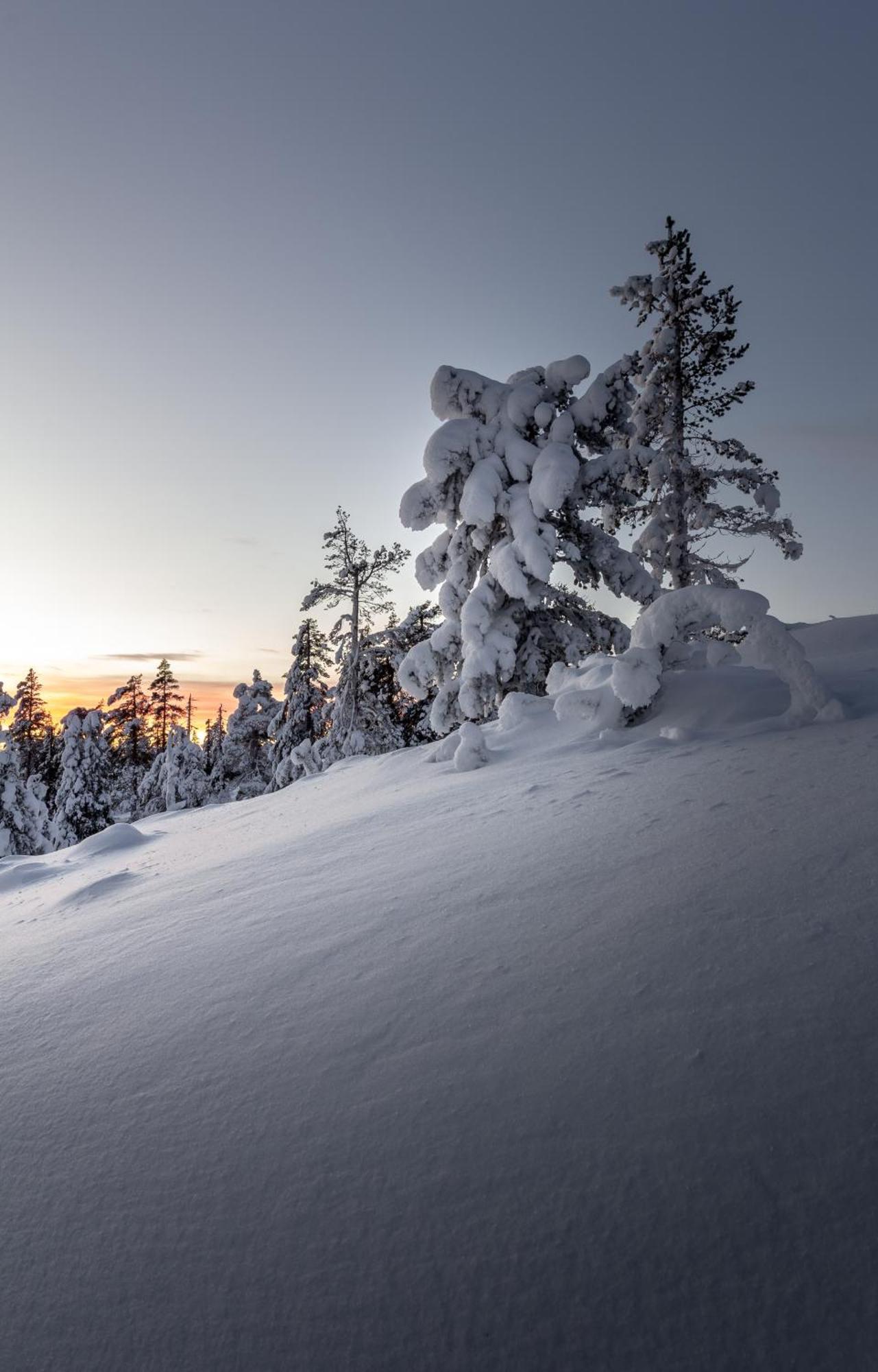 Ferienwohnung Lux Lapland Gielas Utsuvaara Levi Exterior foto